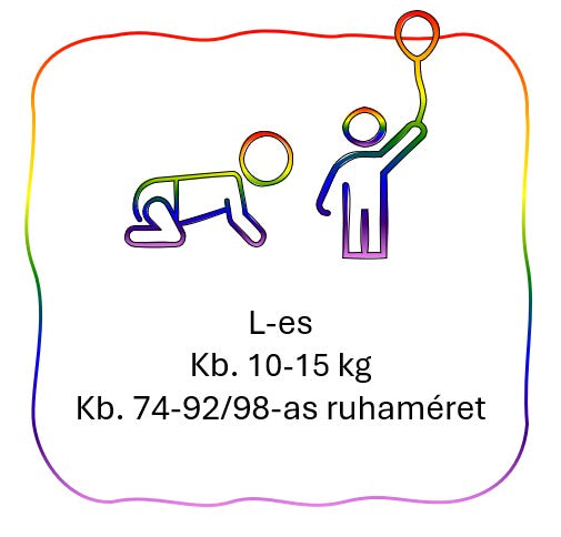 2.5. L-es